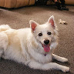 Meet your Posher, Gloria